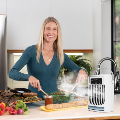 Portable Air Conditioner Fan
