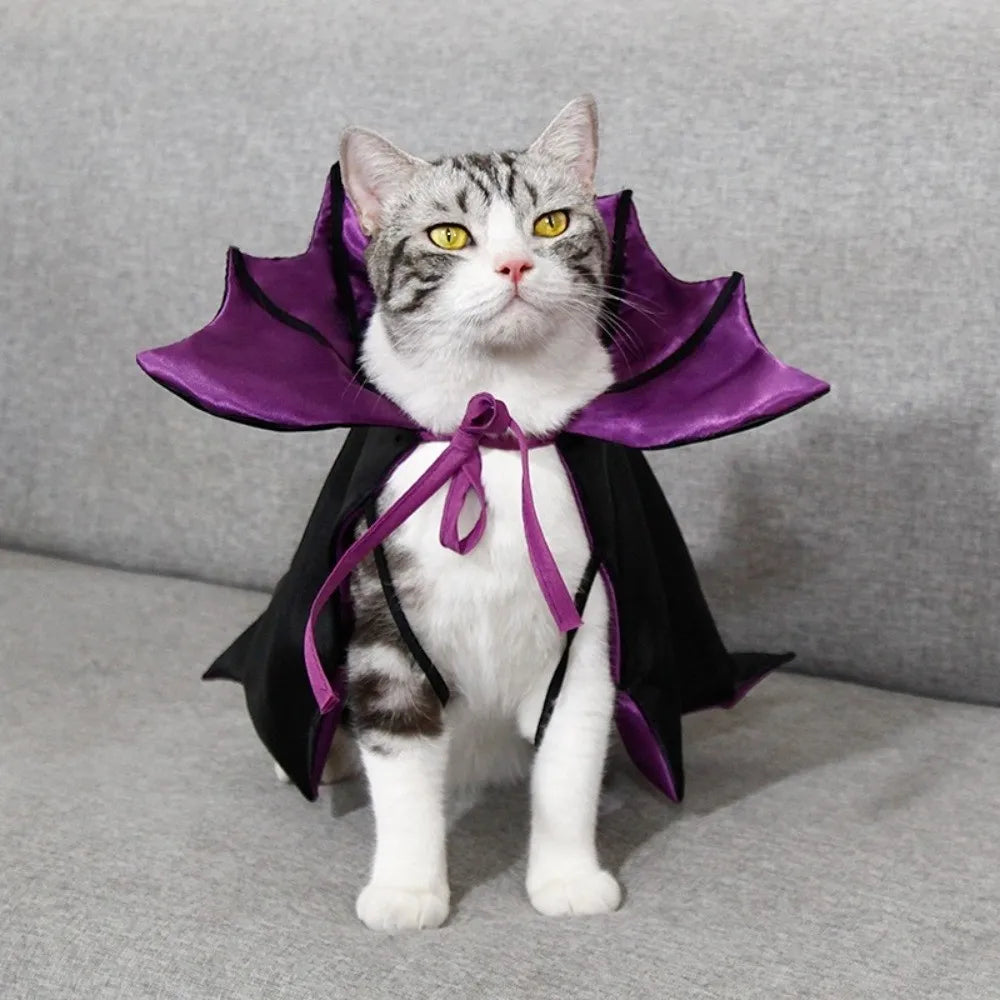 Bat Transformation Halloween Pet Costume – Cat Cosplay Cloak with Bow | Comfortable Stand-Collar Kitten Dress for Party