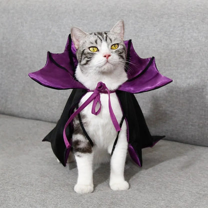 Bat Transformation Halloween Pet Costume – Cat Cosplay Cloak with Bow | Comfortable Stand-Collar Kitten Dress for Party