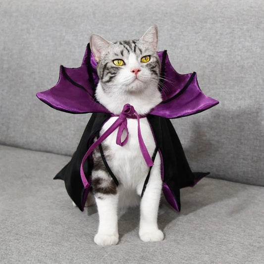 Bat Transformation Halloween Pet Costume – Cat Cosplay Cloak with Bow | Comfortable Stand-Collar Kitten Dress for Party