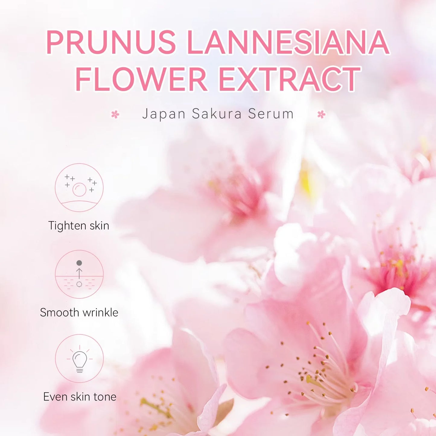Sakura Whitening Serum
