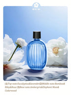 Aromatherapy Essential Oil Diffuser – Silent Home & Office Air Freshener, Rechargeable, 7 - Color LED - FINDS & FAVES