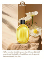 Aromatherapy Essential Oil Diffuser – Silent Home & Office Air Freshener, Rechargeable, 7 - Color LED - FINDS & FAVES